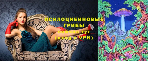 твердый Ладушкин